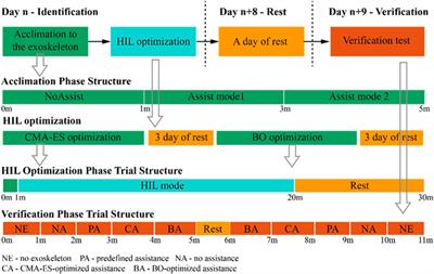 Reducing the muscle activity of walking using a portable hip exoskeleton based on human-in-the-loop optimization